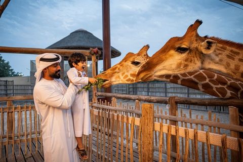Explore Dubai Safari Park: Overview, Facts, and Helpful Visitor Information
