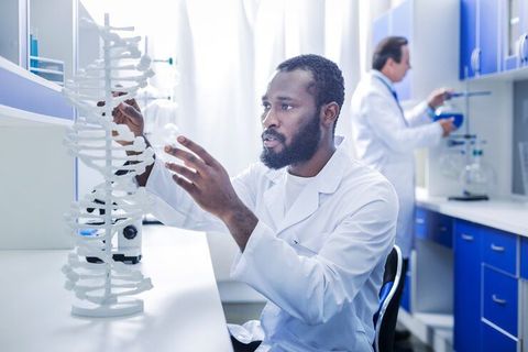 Spine Catch Manufacturing Insights for Modern Industrial Production