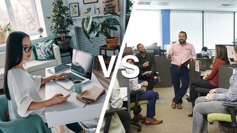 Remote Working vs Office Working Insights for Modern Professionals