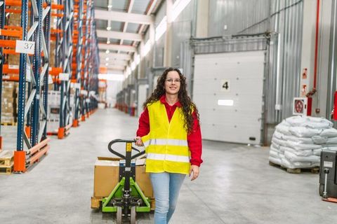 Pallet Truck Systems Explore Modern Pallet Handling Equipment Features
