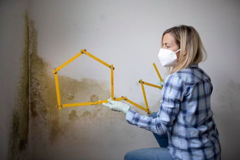 Residential Black Mold Identification Protocols Overview for Homeowners